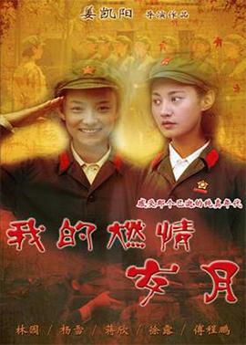 我的燃情岁月第1集