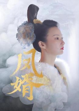 凤婿第01集