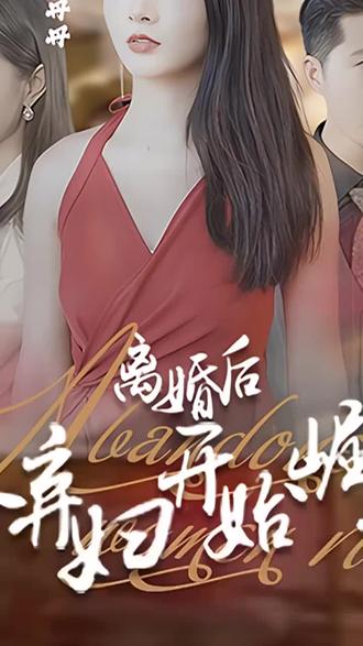 离婚后，从弃妇开始崛起21-40集