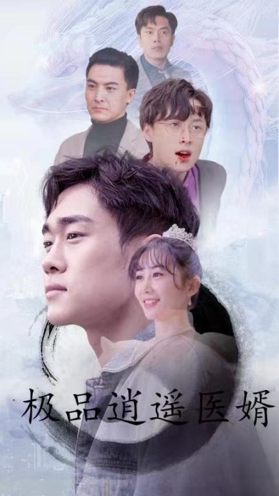 极品逍遥医婿21-40集