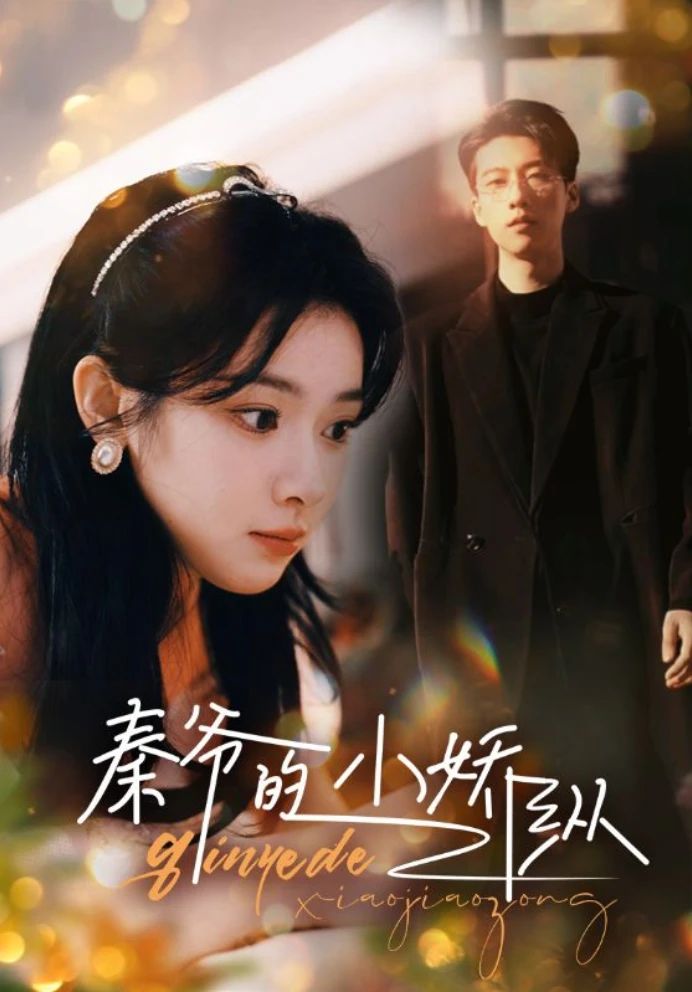 秦爷的小骄纵21-40集