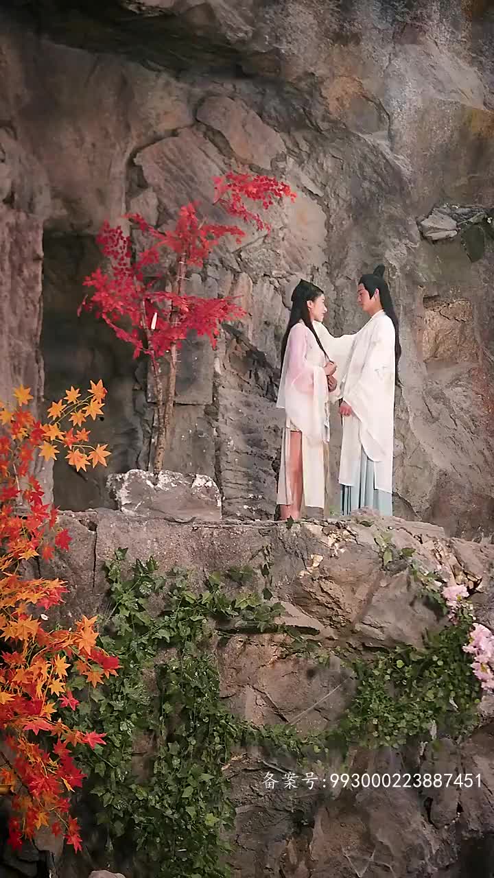 长生帝婿101-120集