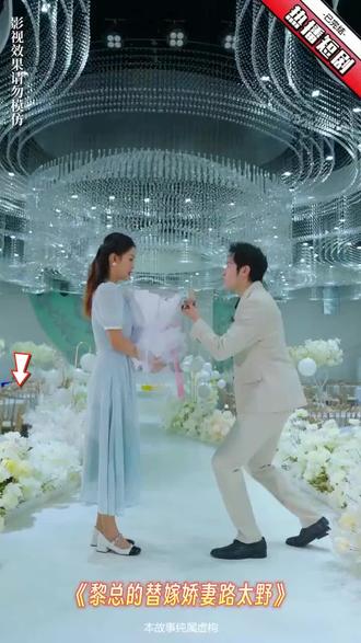 黎总的替嫁娇妻路太野71-90集(大结局)