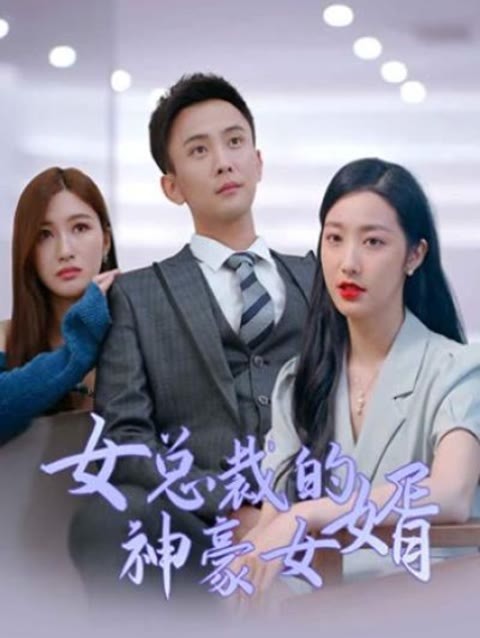 女总裁的神豪女婿1-25集