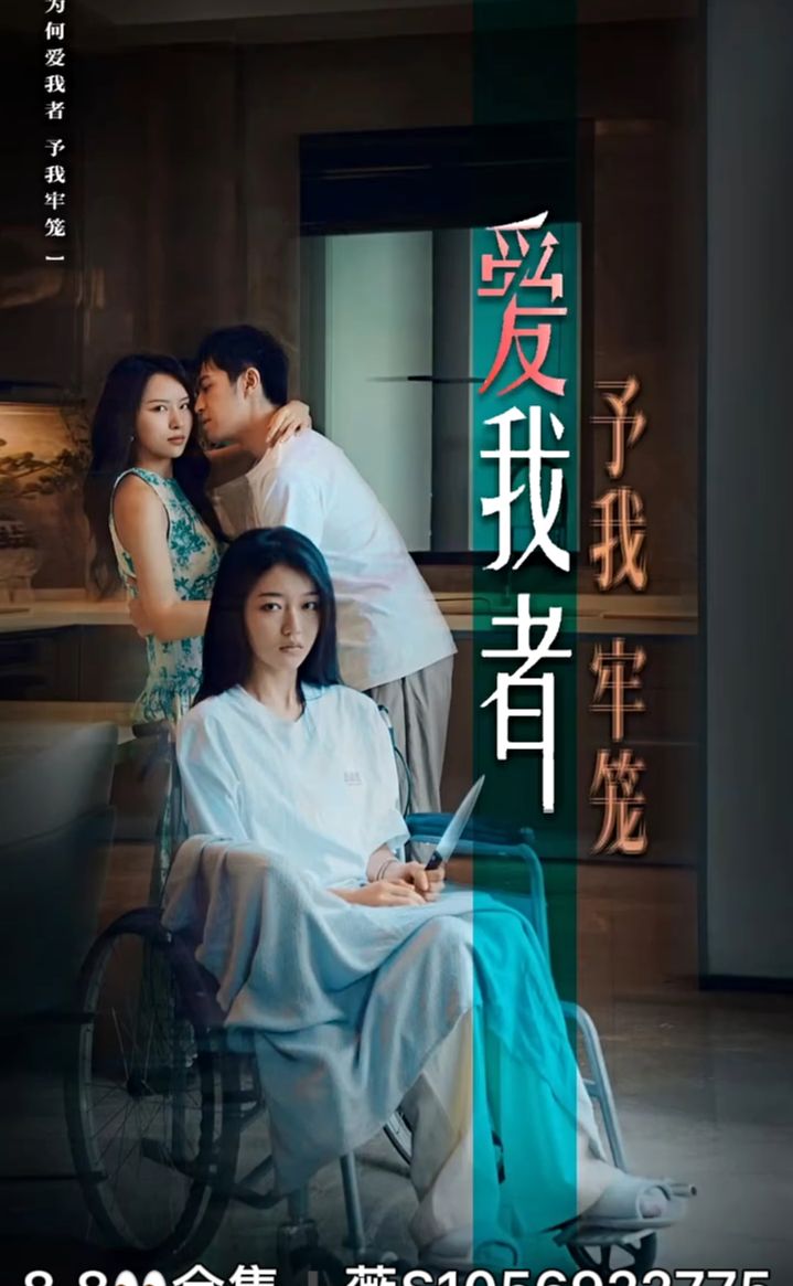 爱我者予我牢笼11-20集