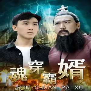 魂穿霸婿全集(大结局)