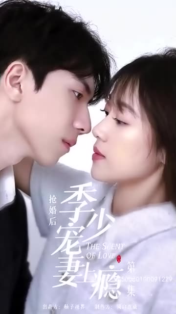 抢婚后，季少宠妻上瘾全集(大结局)