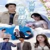 结婚当天新郎重生了(结婚一百零一次)全集(大结局)