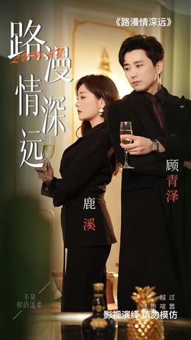 路漫情深远21-40集
