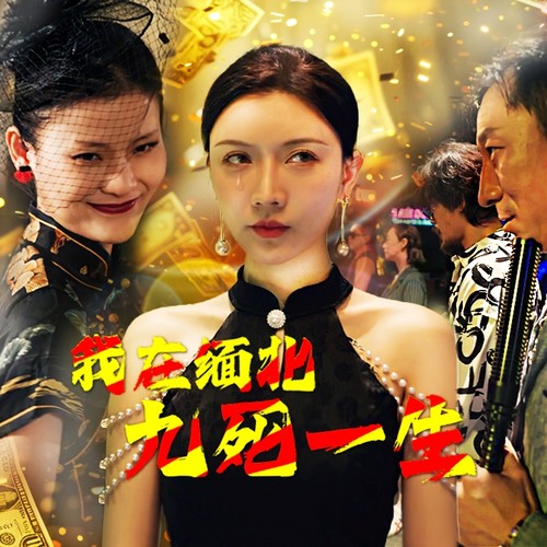 我在缅北九死一生全集(大结局)