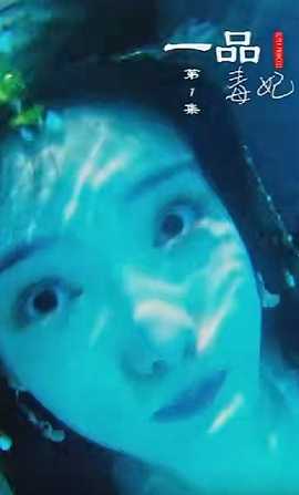 一品毒妃全集(大结局)