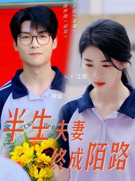 半生夫妻终成陌路全集(大结局)