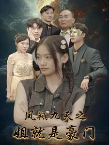 凤翔九天之姐就是豪门全集(大结局)