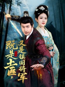 既是土匪，又是镇国将军全集(大结局)